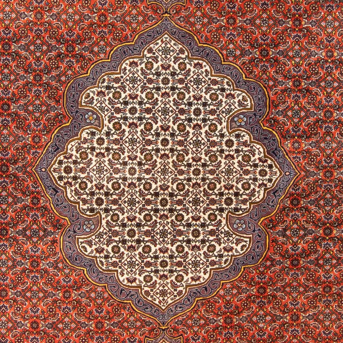 Persisk matta - Bijar - 312 x 205 cm - orange