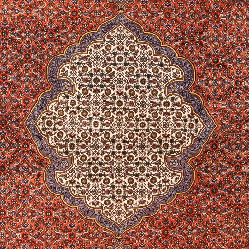 Persisk matta - Bijar - 312 x 205 cm - orange