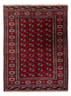 Bukhara Mattan - Oriental Carpet