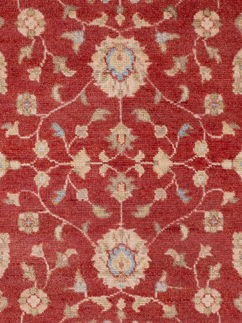 Ziegler Carpet - Oriental Carpet
