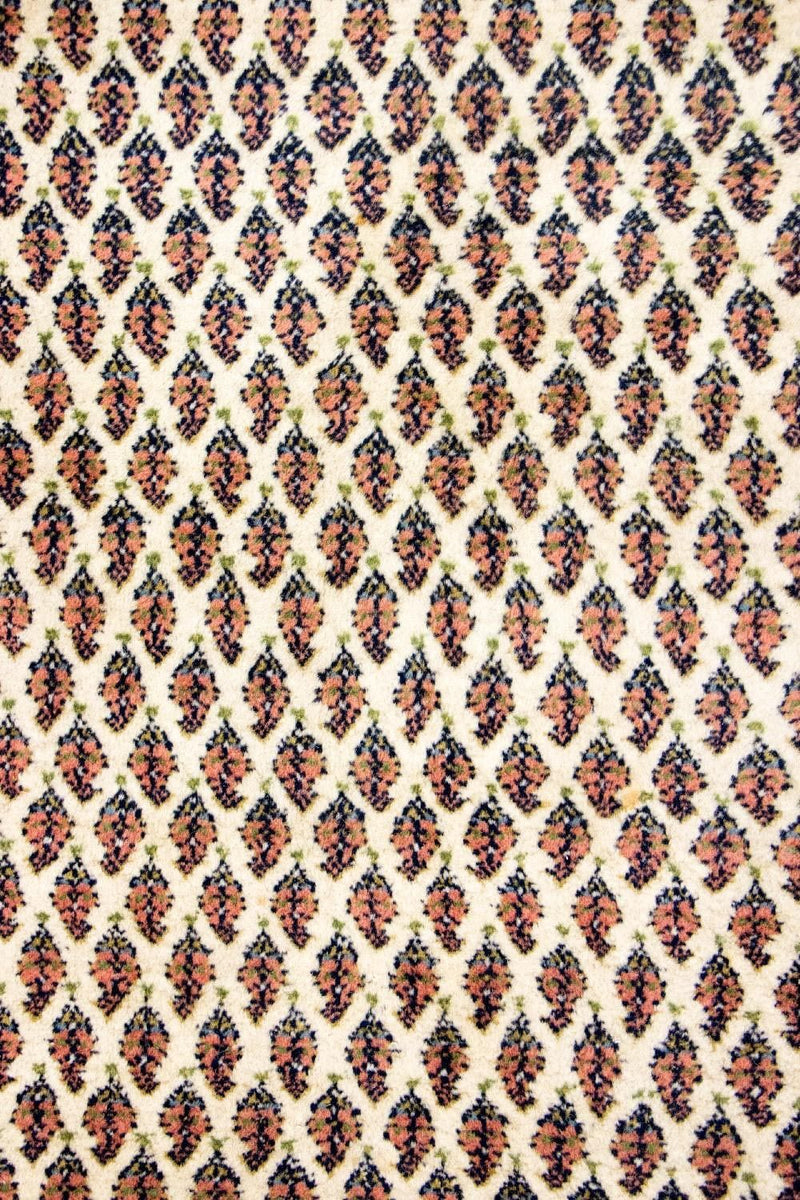 Persisk matta - Mir - 330 x 245 cm - beige