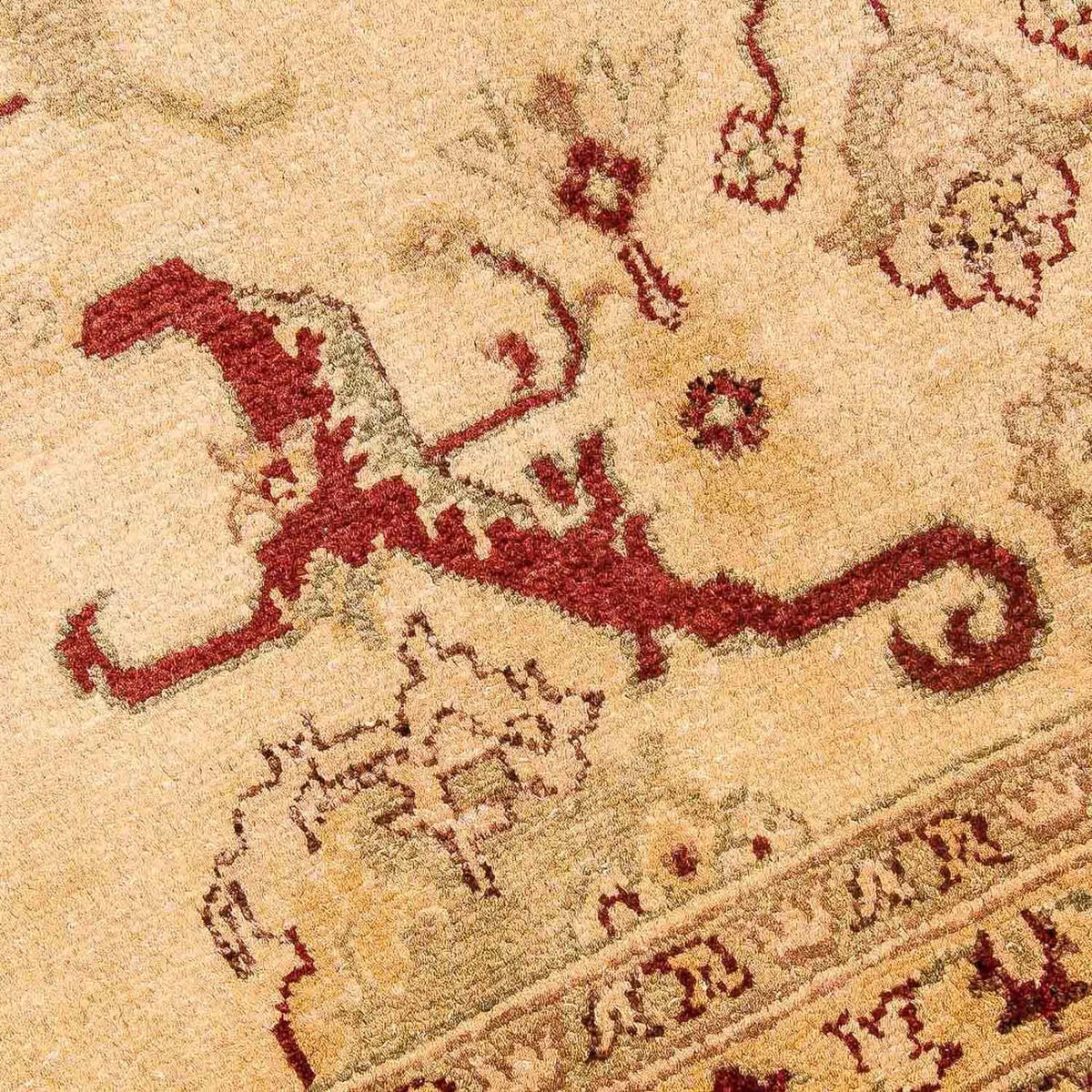 Ziegler Carpet - 391 x 281 cm - beige