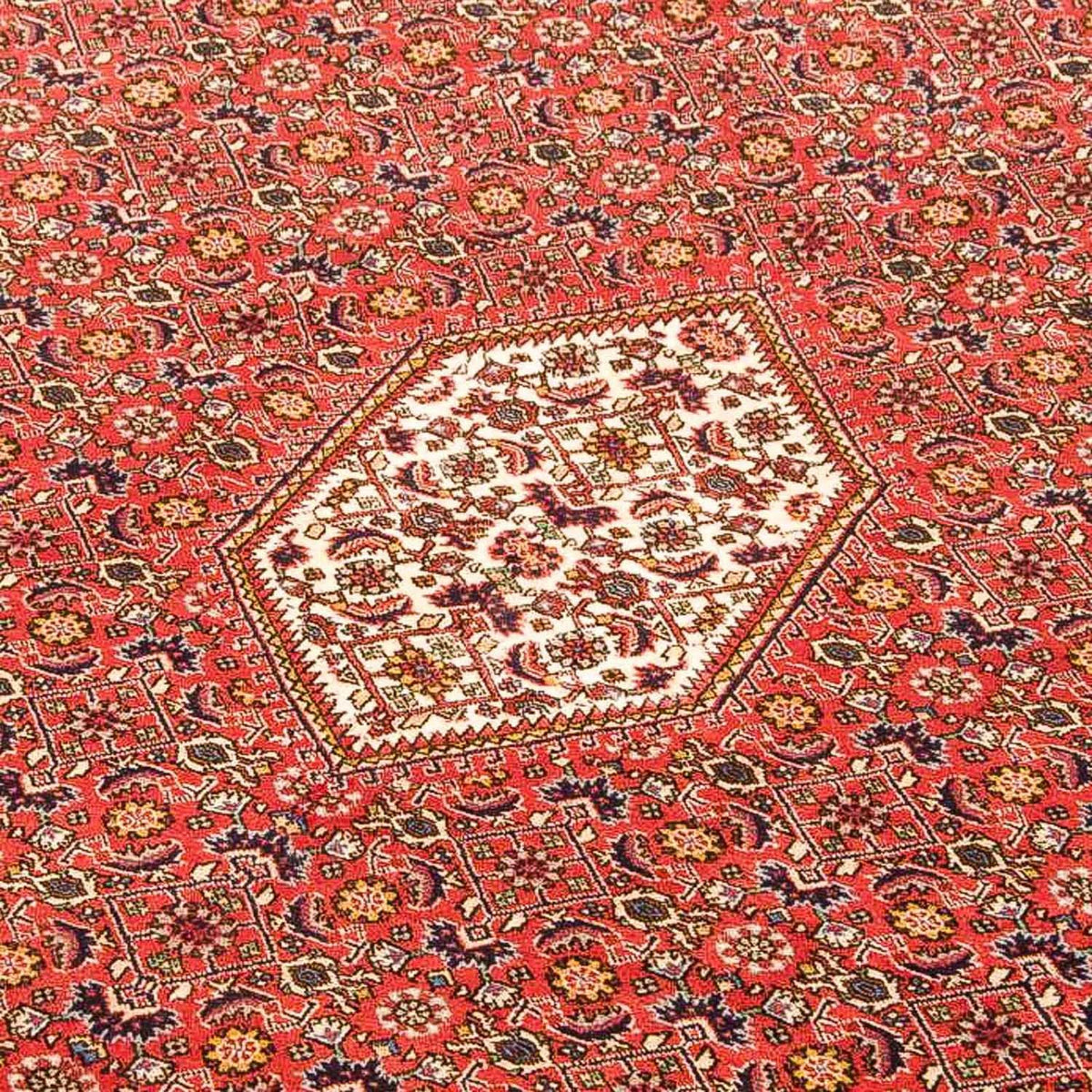 Persisk matta - Bijar - 348 x 203 cm - ljusbrun