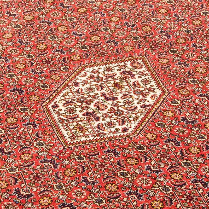 Persisk matta - Bijar - 348 x 203 cm - ljusbrun