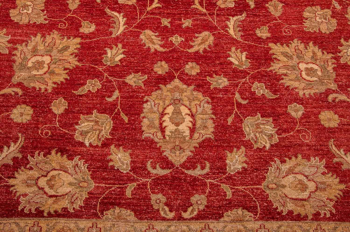 Ziegler Carpet - 301 x 241 cm - röd