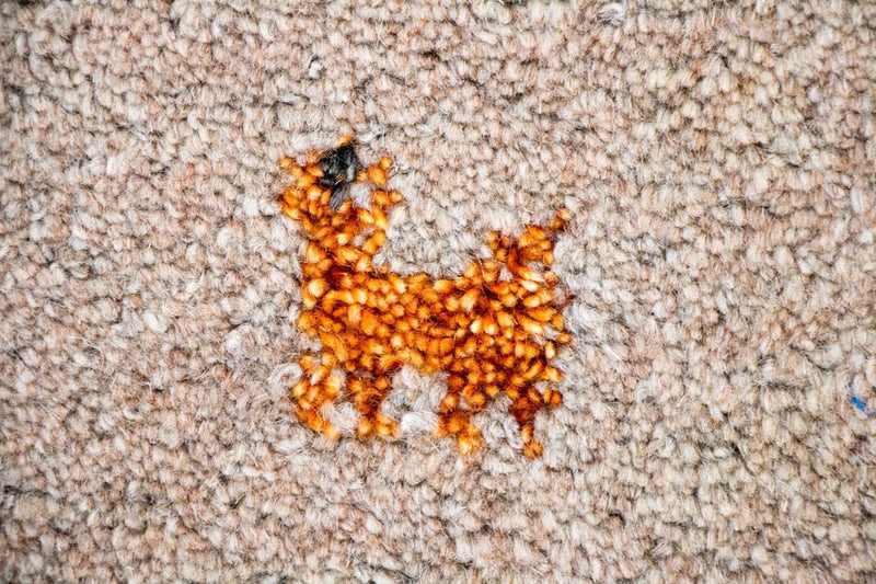 Gabbeh-matta - Indus - 200 x 140 cm - brun