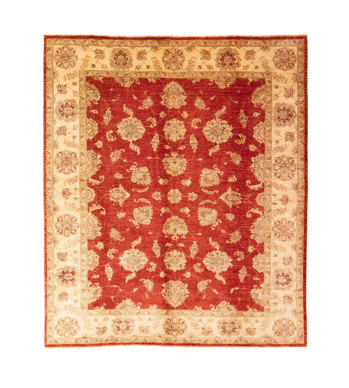 Ziegler Carpet - 237 x 203 cm - röd