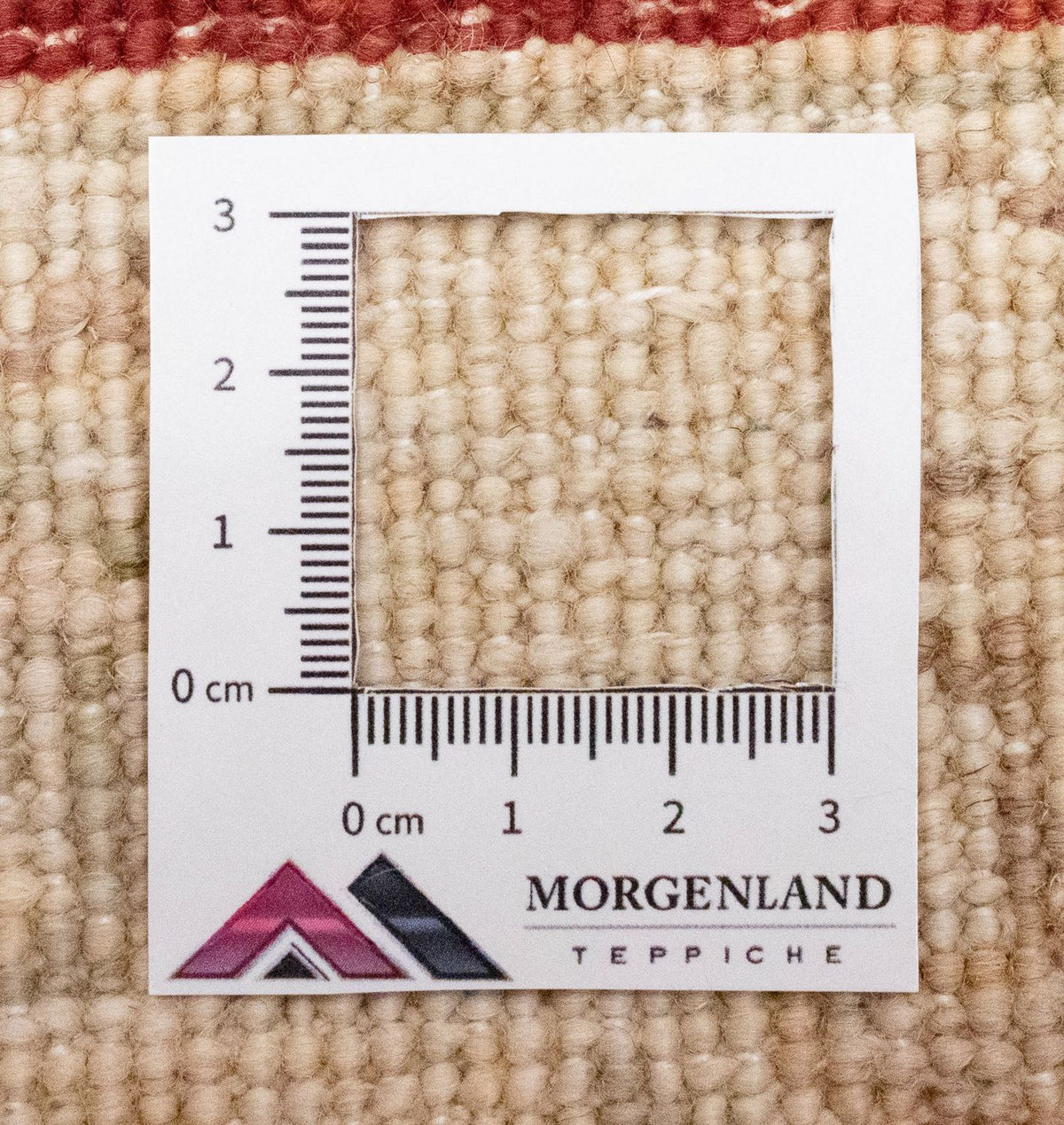 Runner Ziegler Carpet - 251 x 83 cm - beige