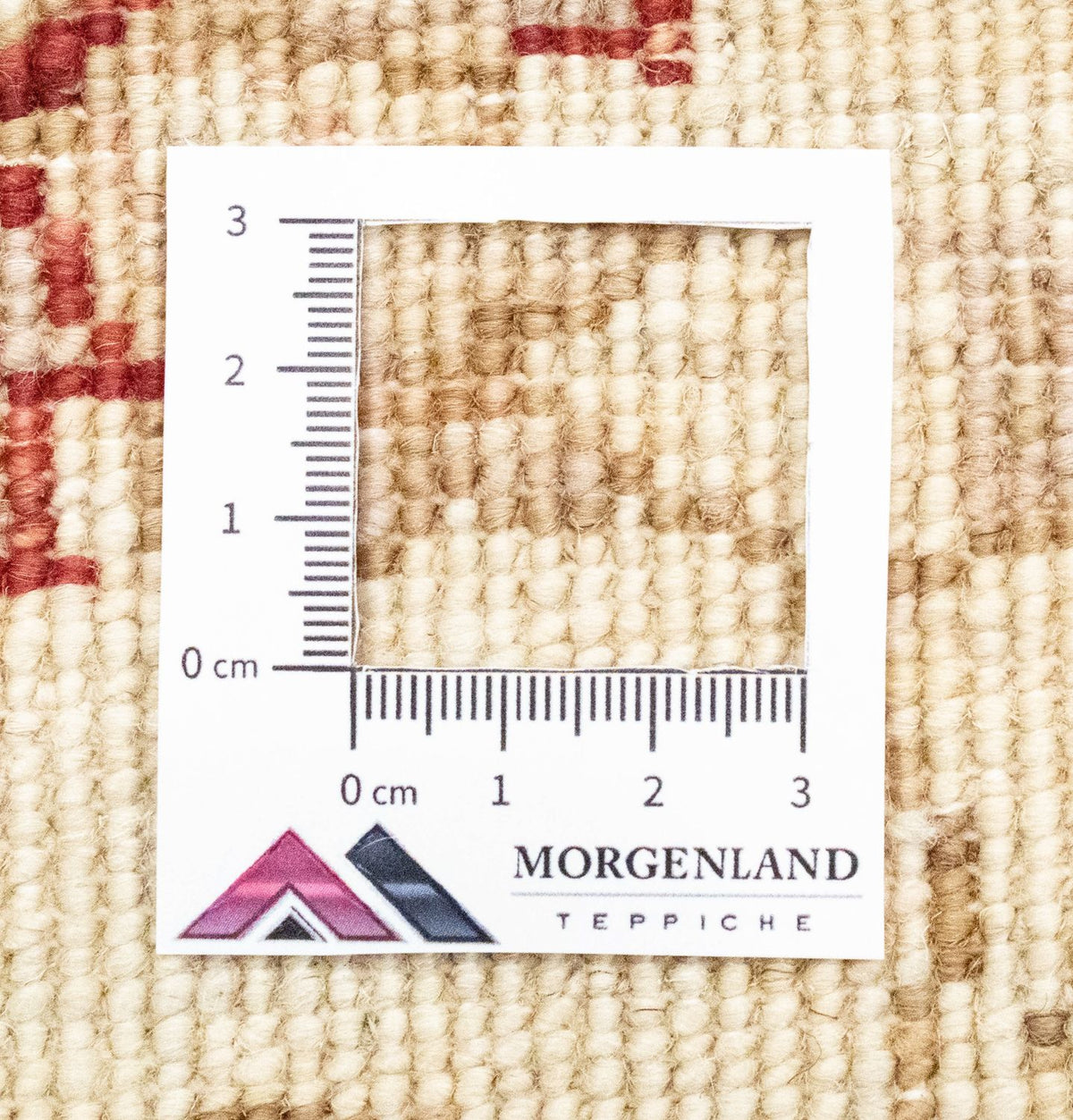 Runner Ziegler Carpet - 243 x 79 cm - beige