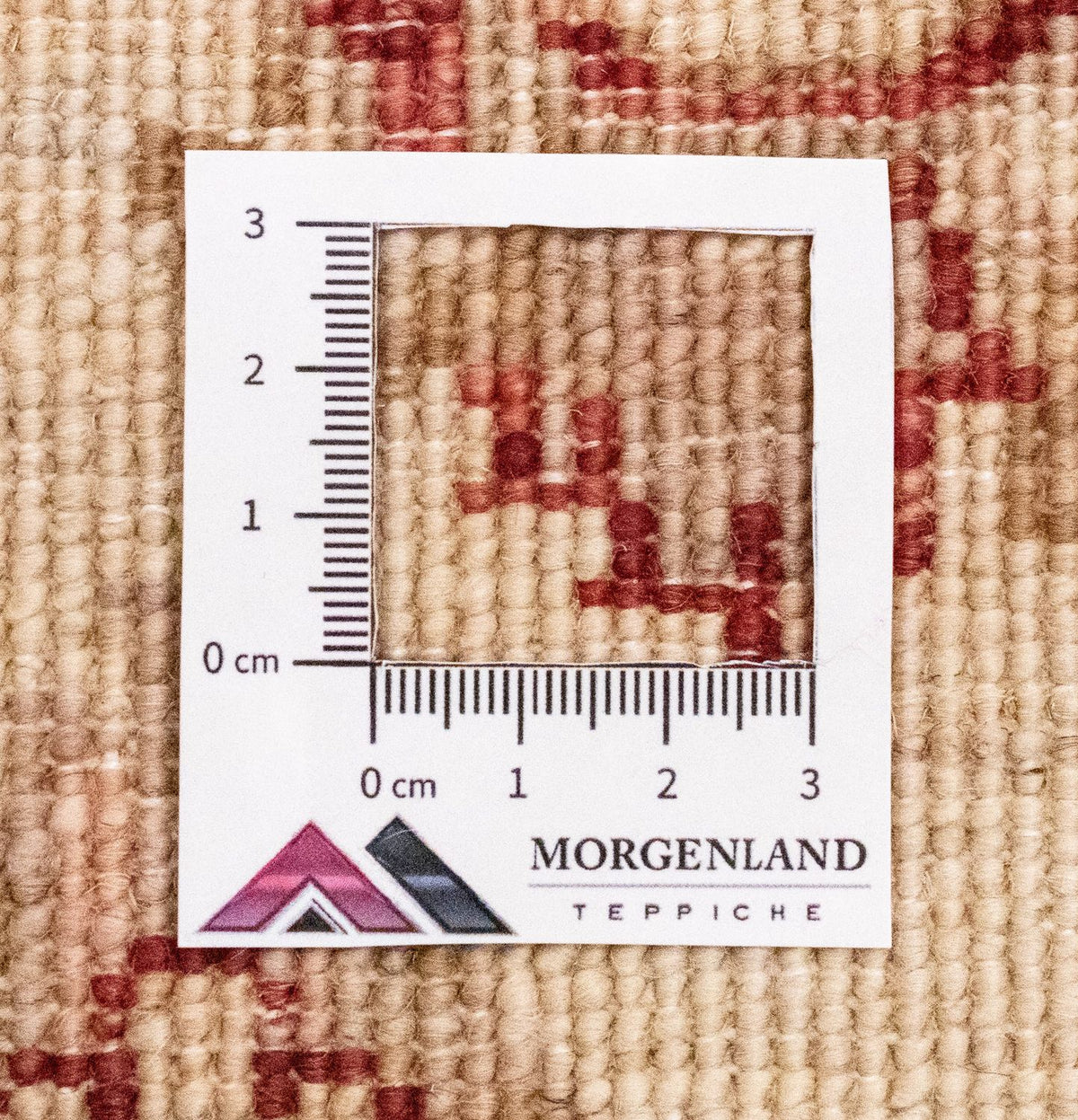 Runner Ziegler Carpet - 242 x 81 cm - beige