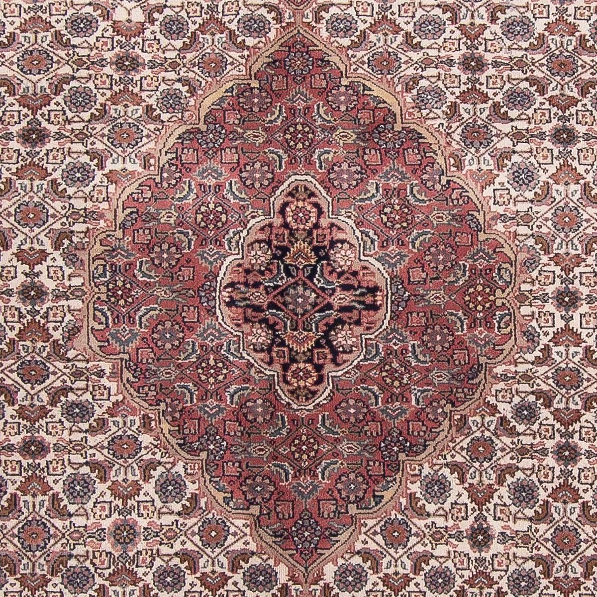 Orientaliska mattor - Bijar - Indus - 303 x 245 cm - beige