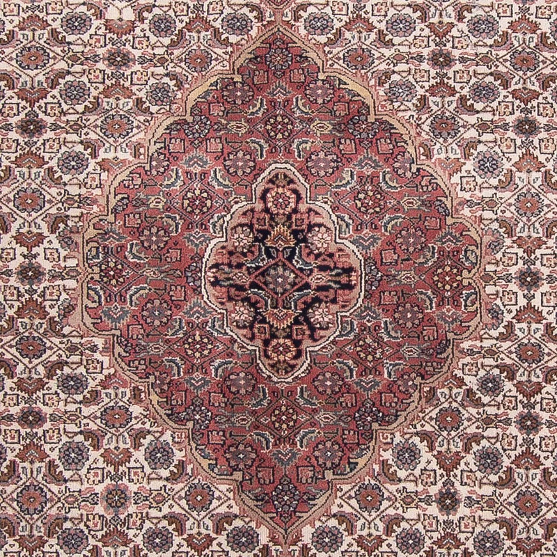 Orientaliska mattor - Bijar - Indus - 303 x 245 cm - beige