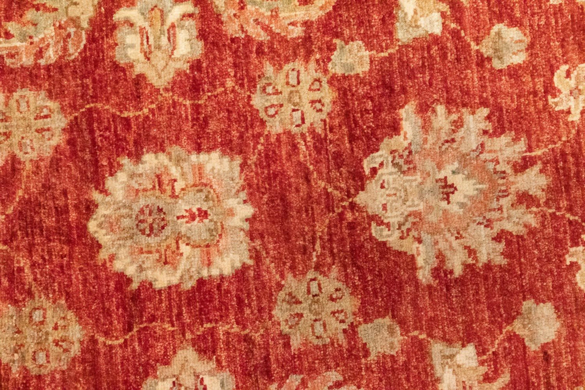 Runner Ziegler Carpet - 297 x 83 cm - röd