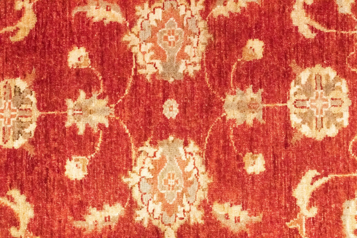 Runner Ziegler Carpet - 252 x 83 cm - röd