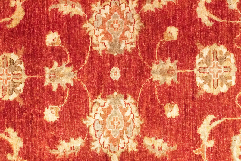 Runner Ziegler Carpet - 252 x 83 cm - röd