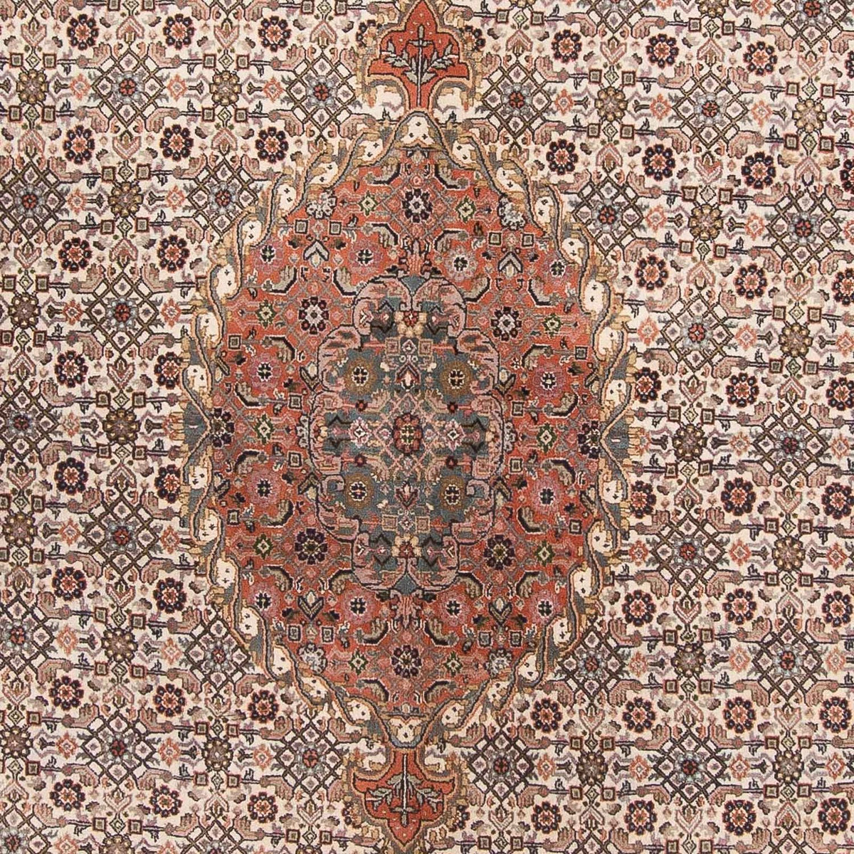 Orientaliska mattor - Bijar - Indus - 338 x 243 cm - beige