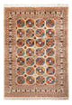 Ariana Mattan 247x175cm - Oriental Carpet