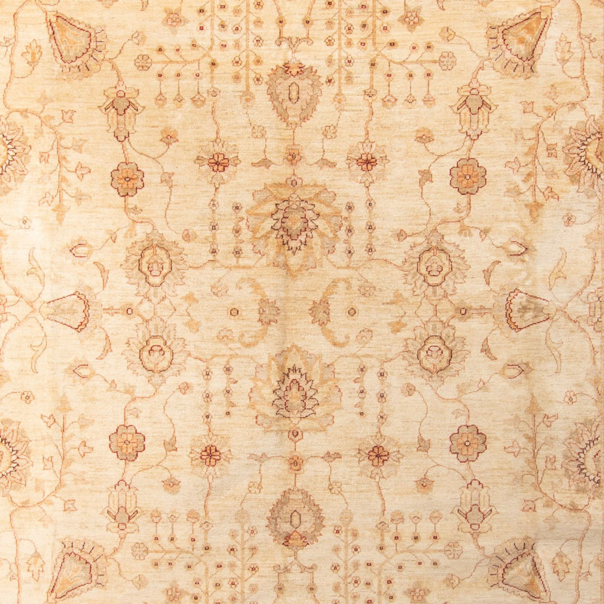 Ziegler Carpet - 406 x 288 cm - beige