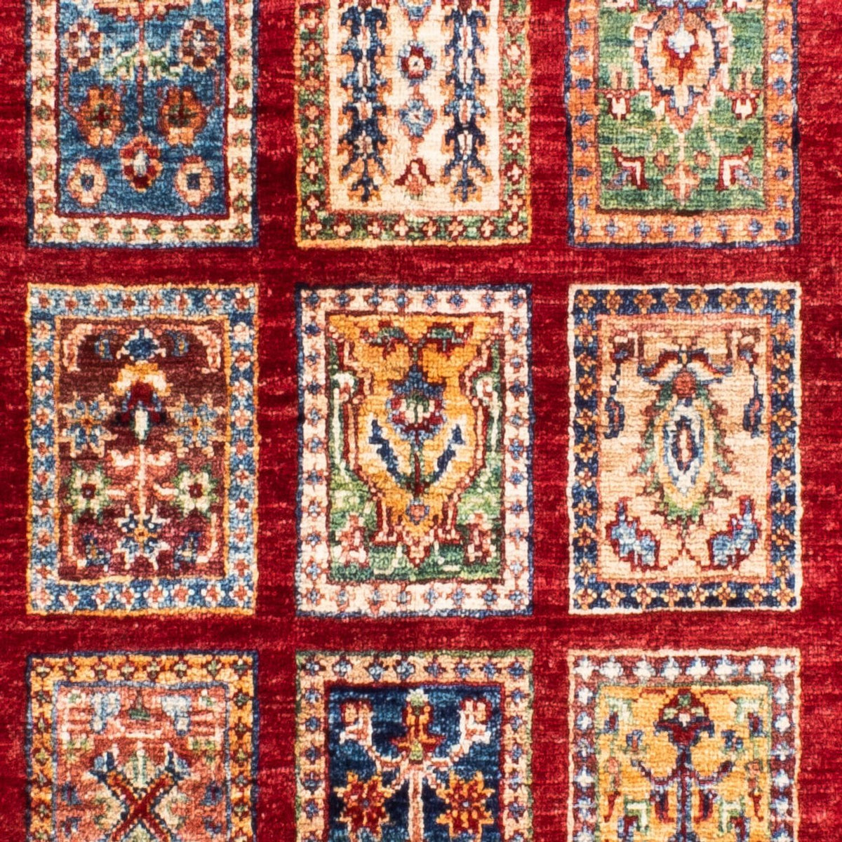 Runner Ziegler Carpet - Bakhtiari - 253 x 85 cm - röd