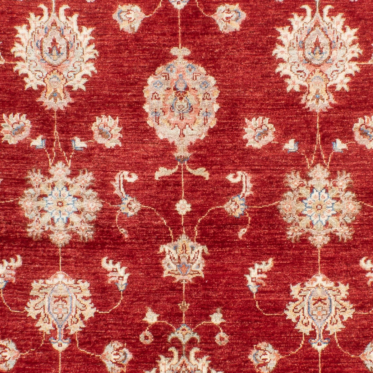 Ziegler Carpet - 216 x 152 cm - röd