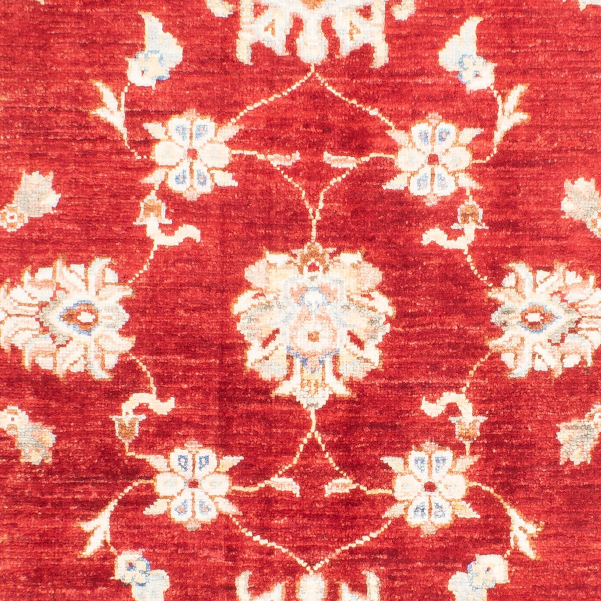 Ziegler Carpet - 155 x 105 cm - röd