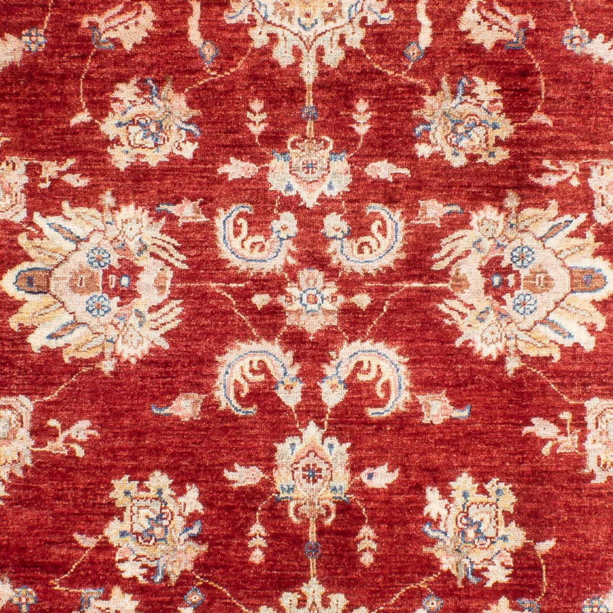 Ziegler Carpet - 200 x 153 cm - röd