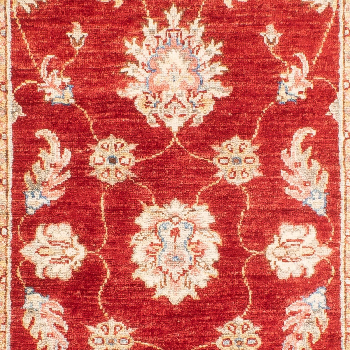 Runner Ziegler Carpet - 216 x 83 cm - röd