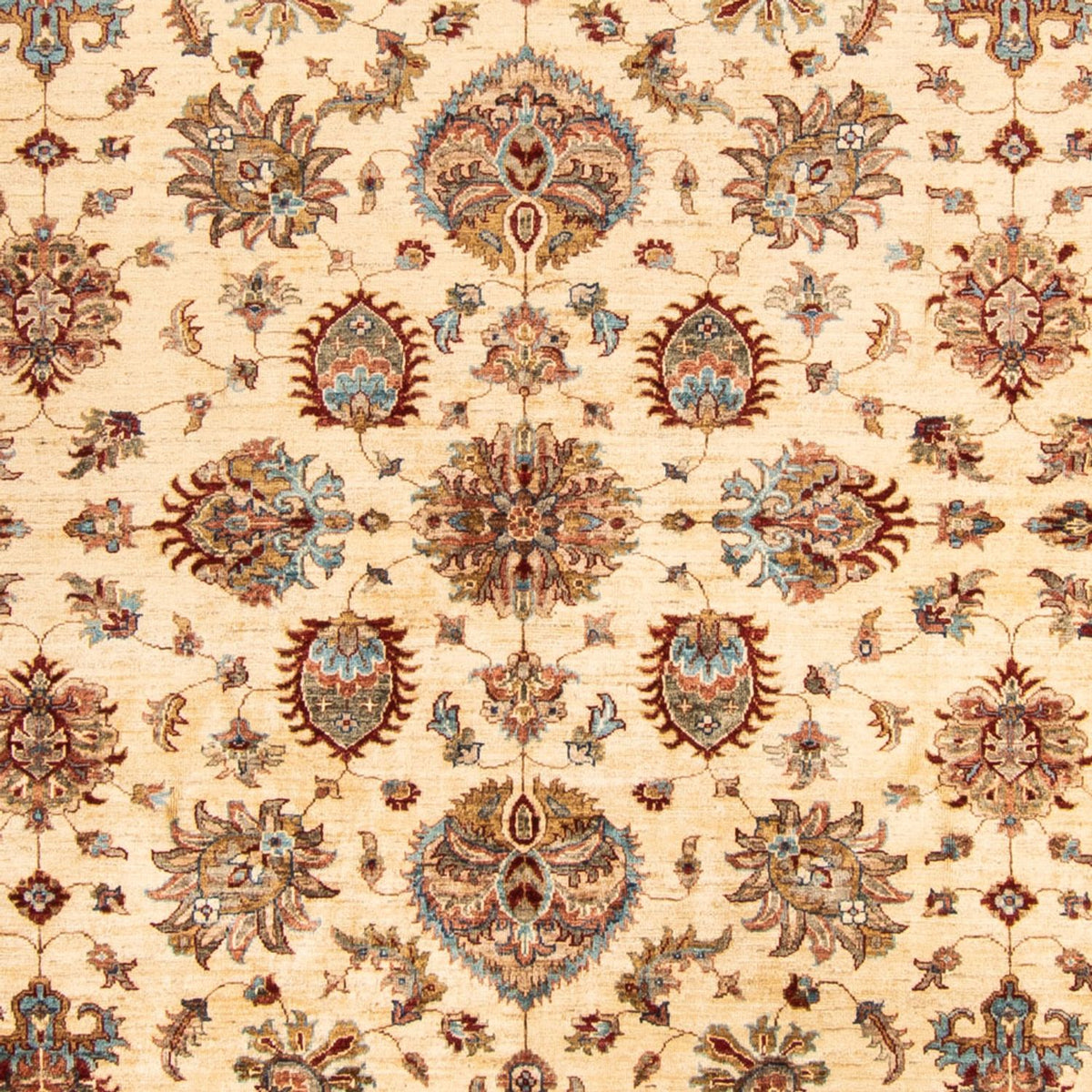 Ziegler Carpet - 306 x 254 cm - beige