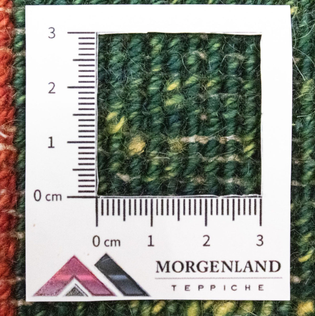 Gabbeh-matta - persisk - 60 x 40 cm - flerfärgad