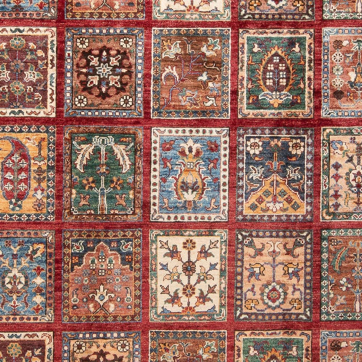 Ziegler Carpet - Bakhtiari - 250 x 175 cm - flerfärgad