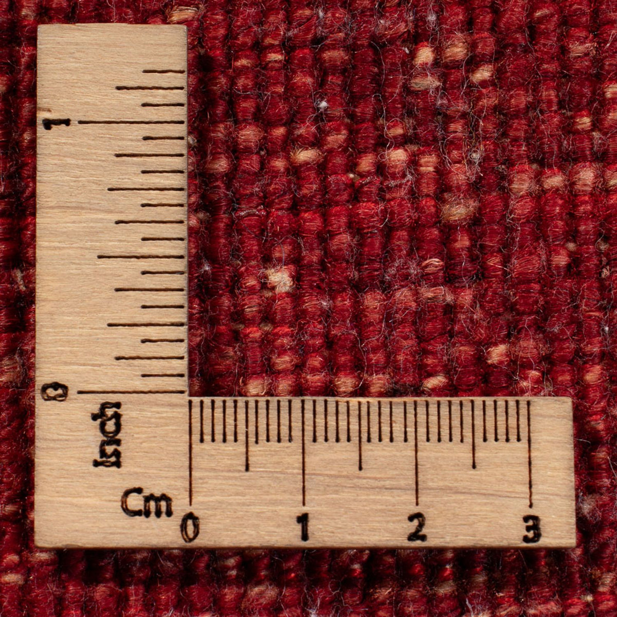 Ziegler Carpet - Bakhtiari - 250 x 175 cm - flerfärgad