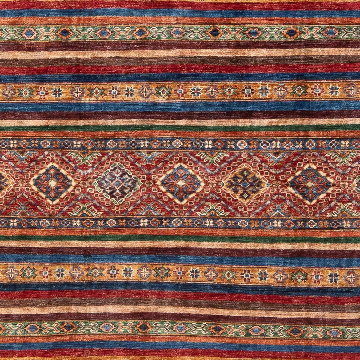 Ziegler Carpet - Shal - 243 x 172 cm - flerfärgad
