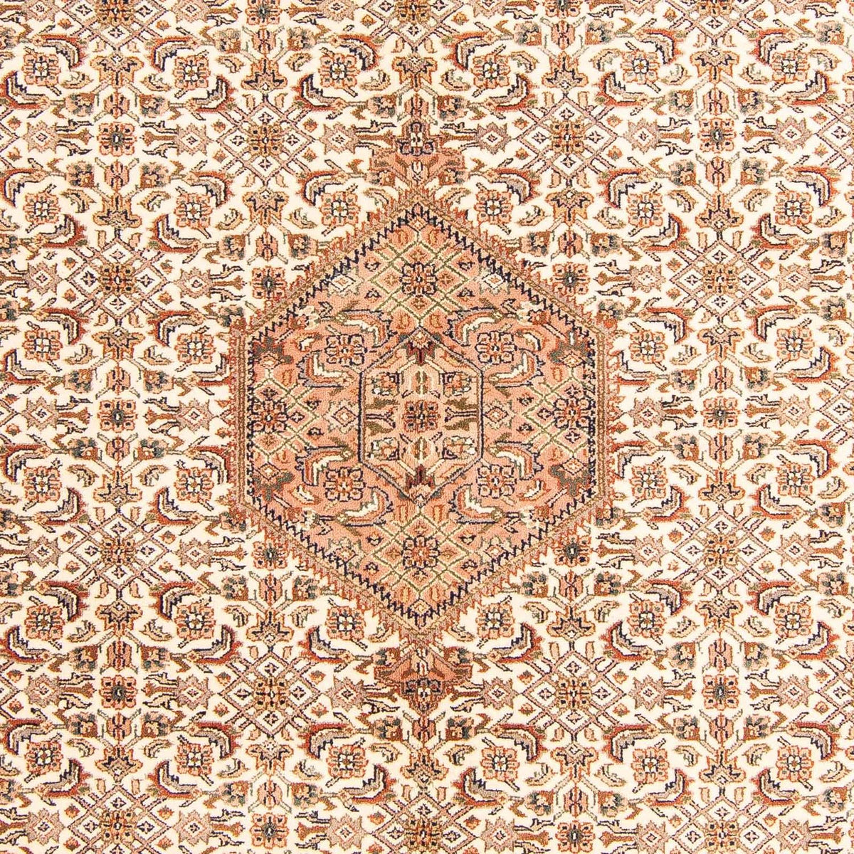 Orientaliska mattor - Bijar - Indus - 242 x 173 cm - beige