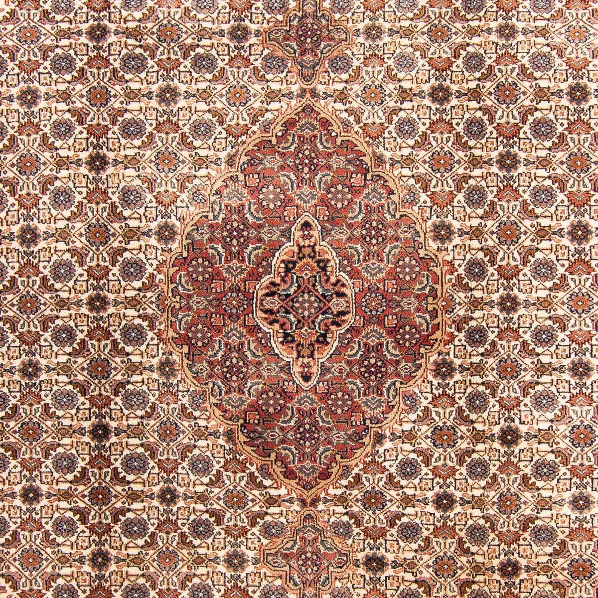 Orientaliska mattor - Bijar - Indus - 305 x 196 cm - beige
