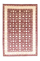 Designermatta 298x200cm - Designerteppich