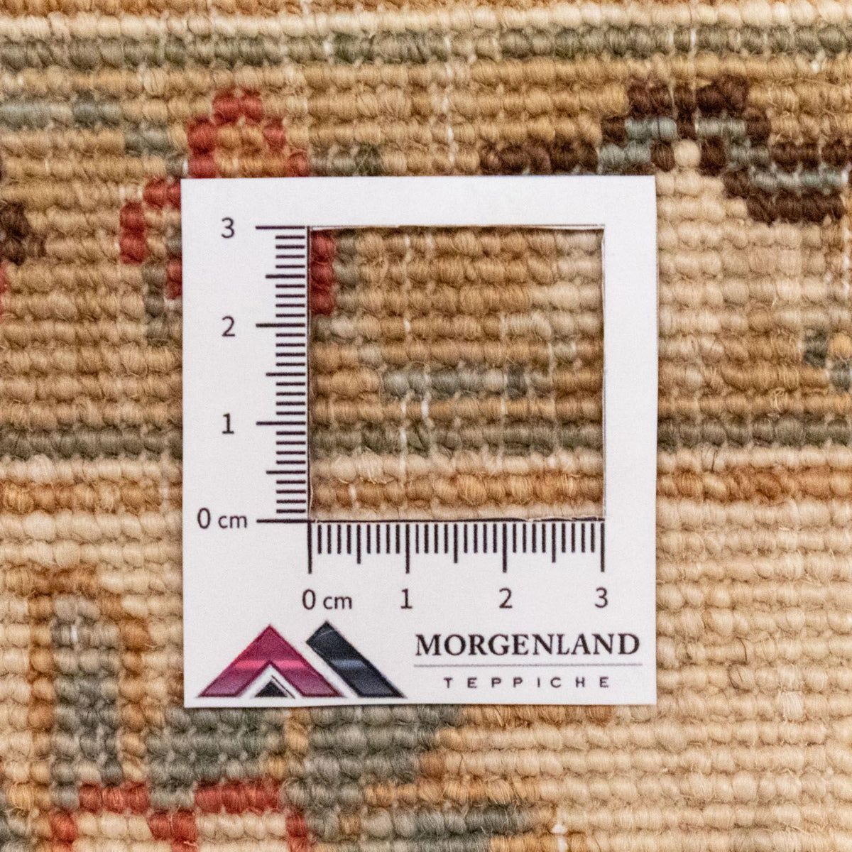 Ziegler Carpet - 248 x 180 cm - beige