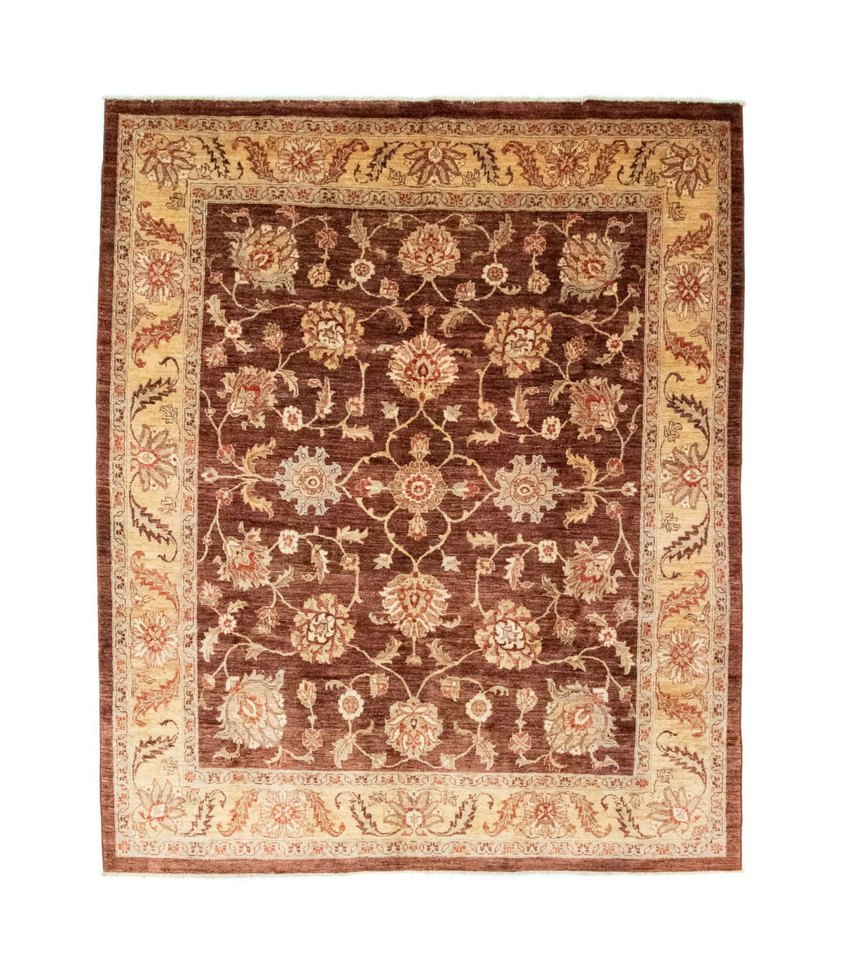 Ziegler Carpet - 290 x 249 cm - brun