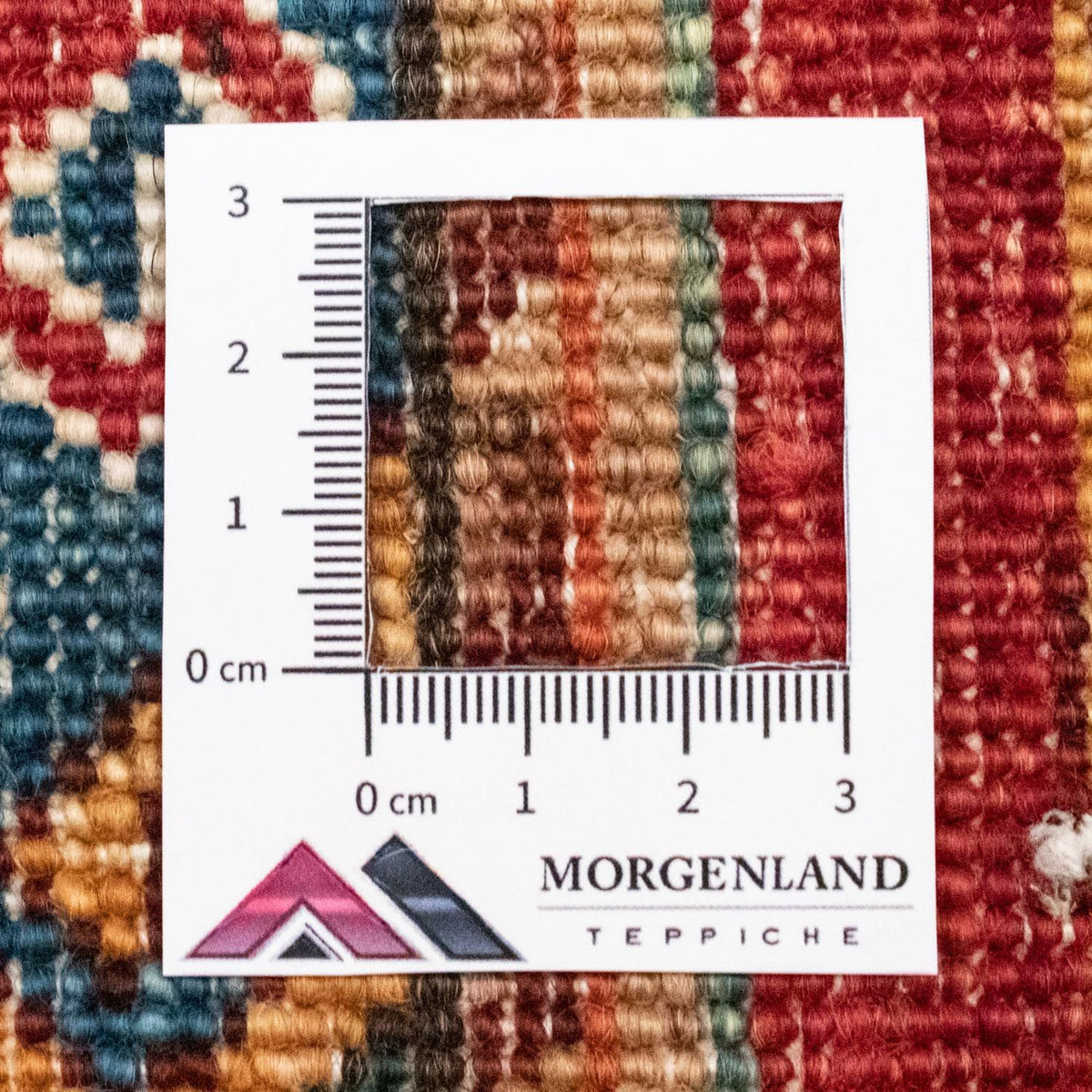 Ziegler Carpet - 243 x 170 cm - flerfärgad