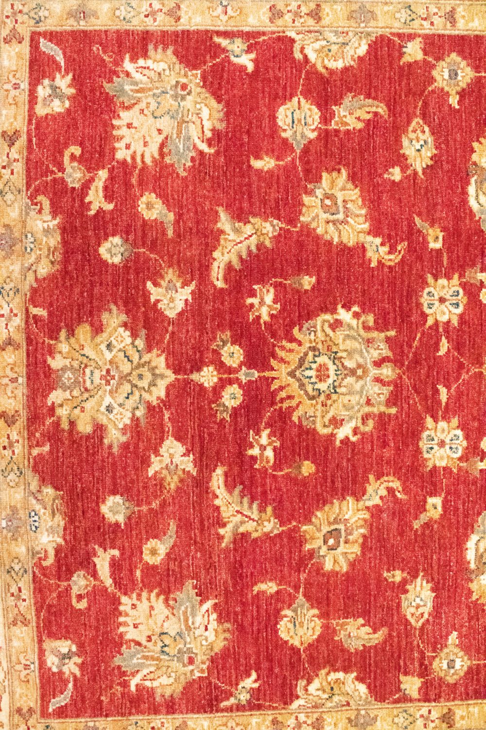 Ziegler Carpet - 202 x 150 cm - röd