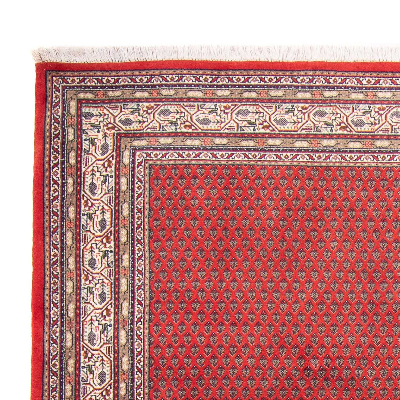 Indo Mir Mattan 239x173cm - Oriental Carpet