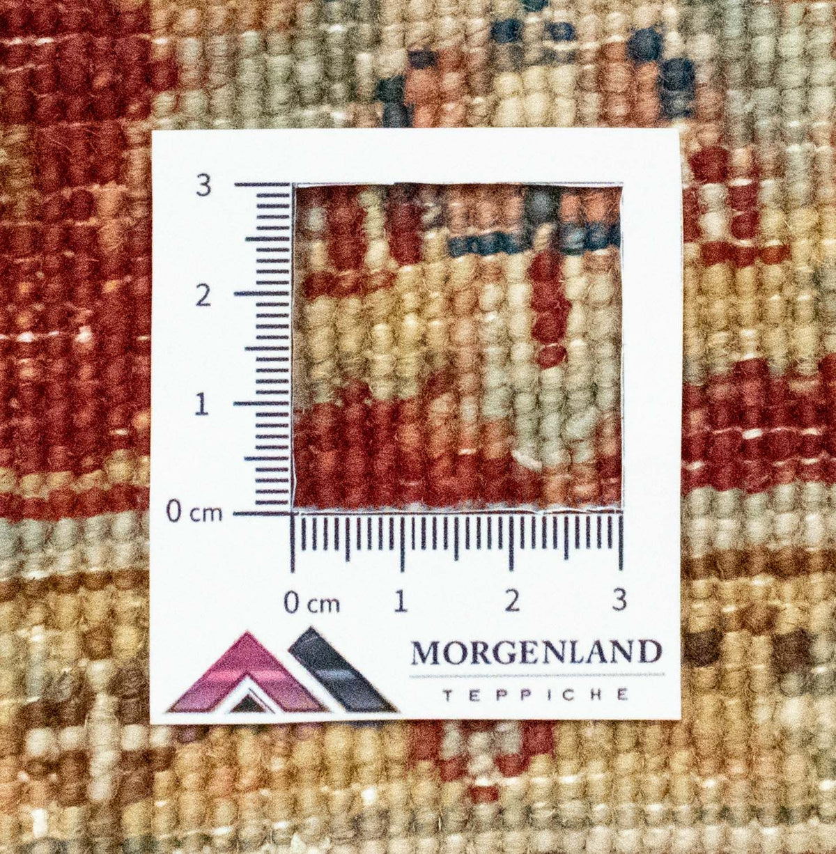 Ziegler Carpet - 161 x 101 cm - beige