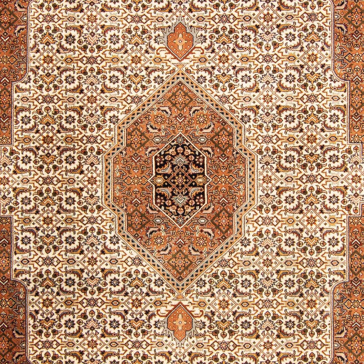 Orientaliska mattor - Bijar - Indus - 299 x 201 cm - beige