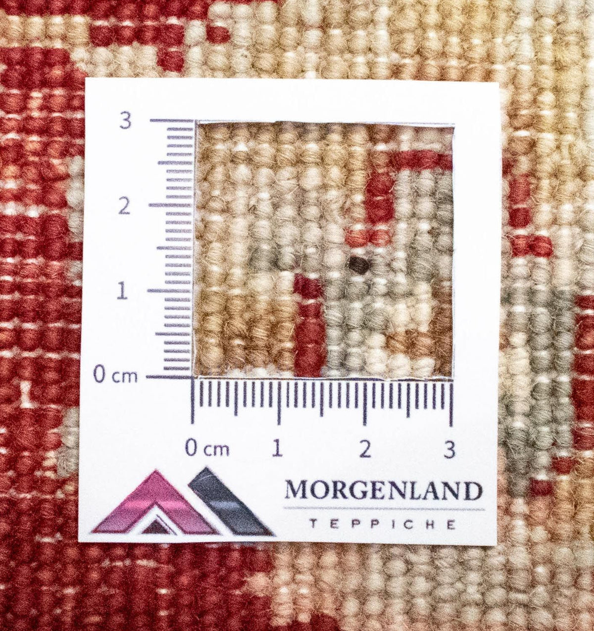 Ziegler Carpet - 122 x 77 cm - beige