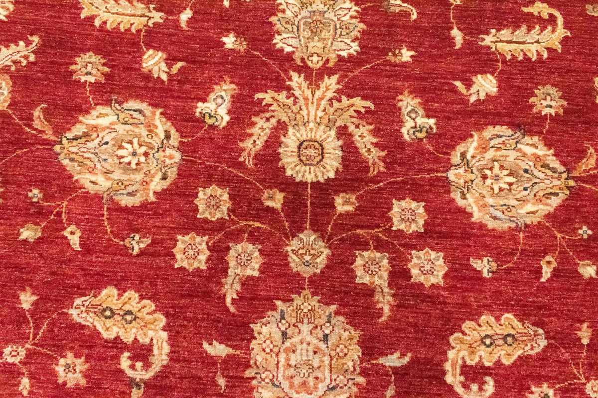 Ziegler Carpet - 296 x 210 cm - röd