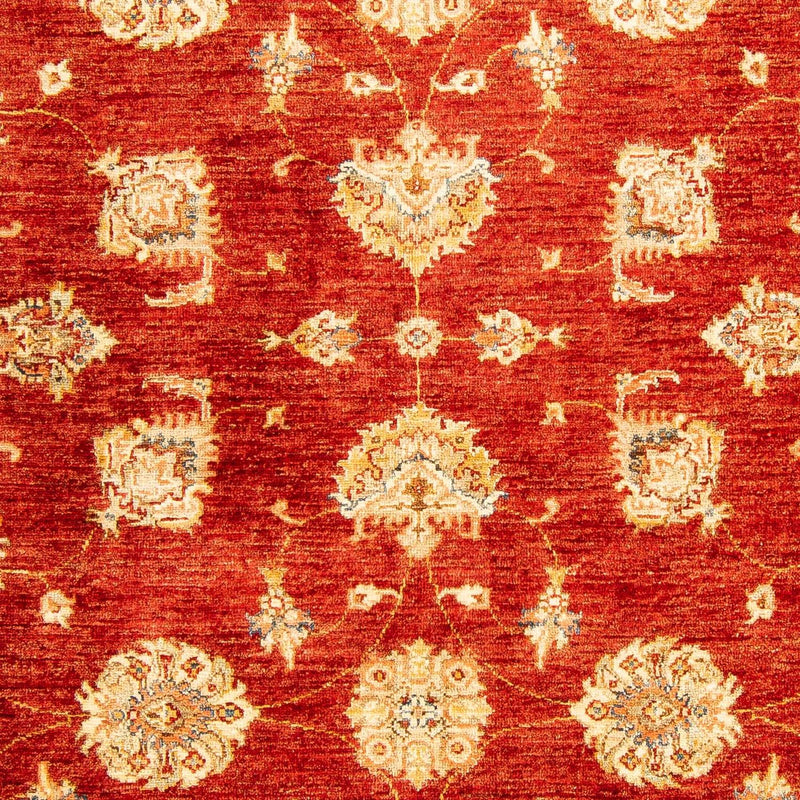 Ziegler Carpet - 207 x 152 cm - mörkröd