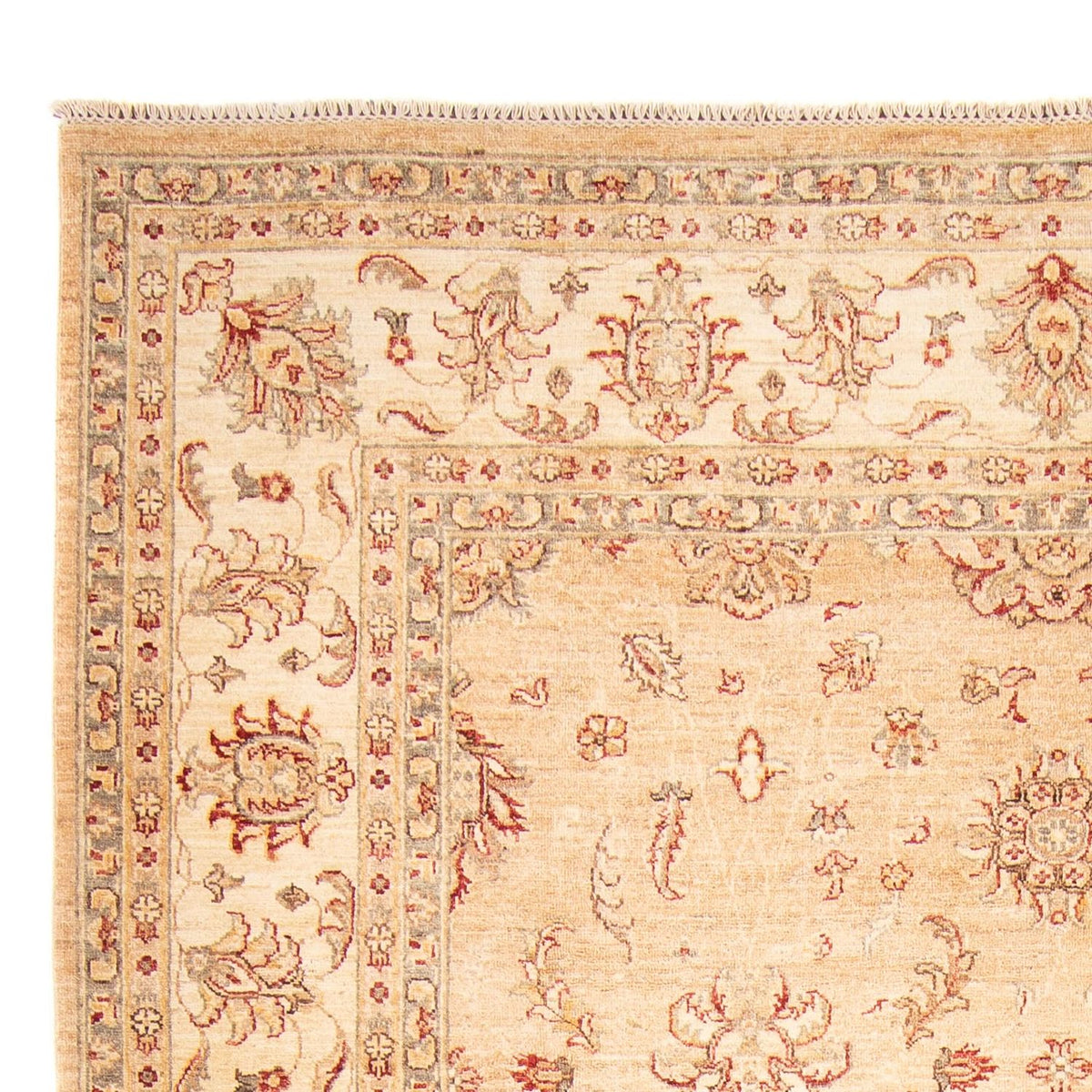 Ziegler Carpet - 292 x 209 cm - beige