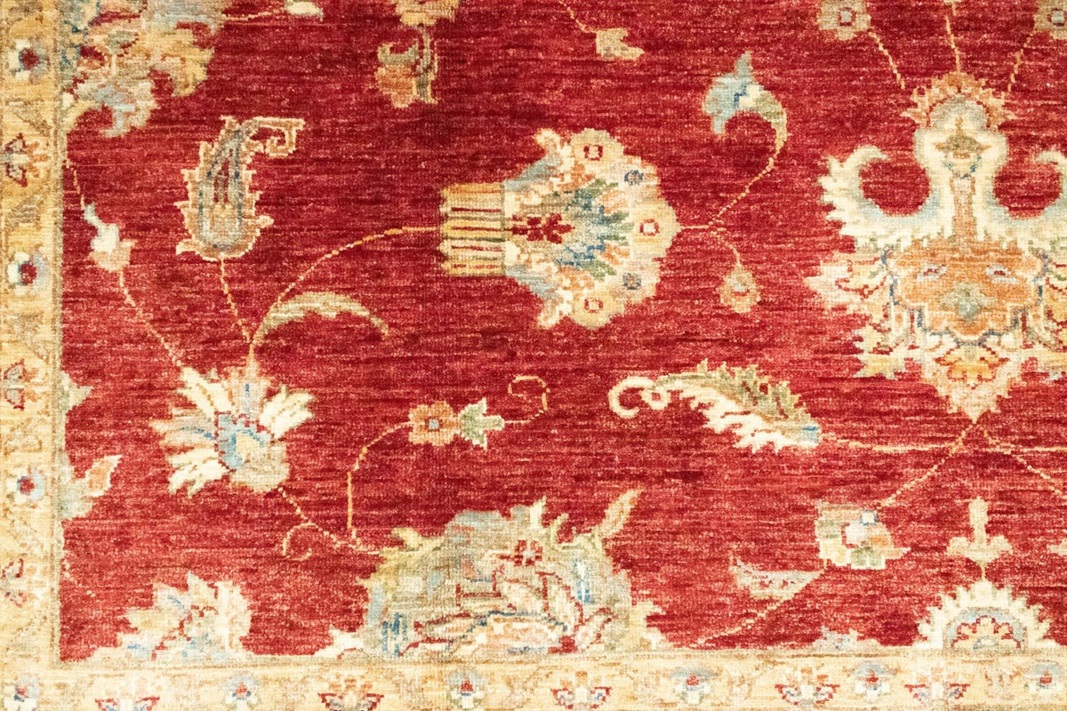 Ziegler Carpet - 305 x 209 cm - röd