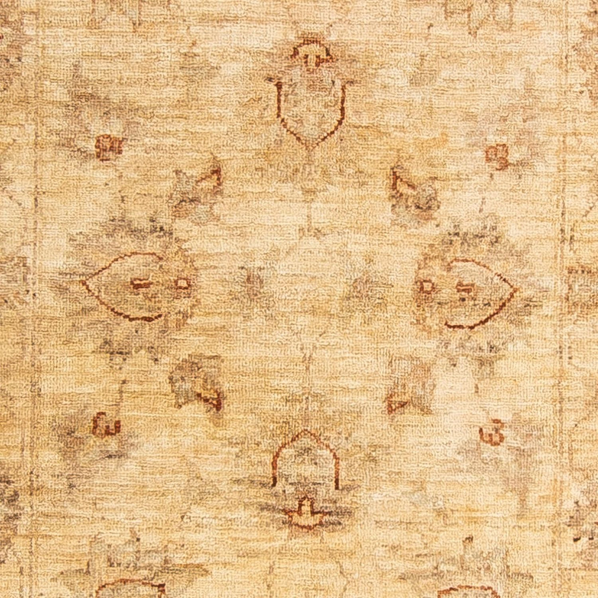 Runner Ziegler Carpet - 244 x 76 cm - ljusbeige