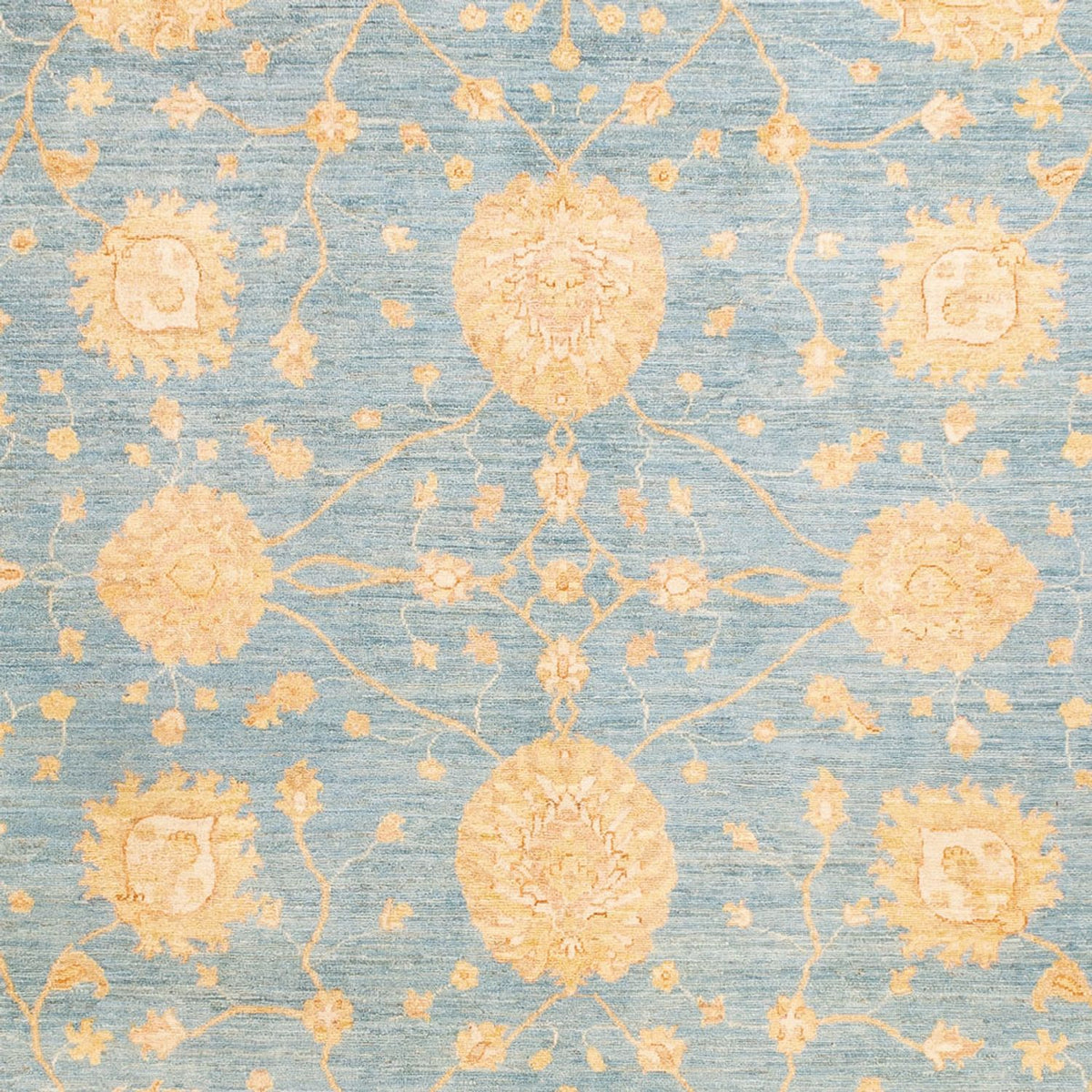 Ziegler Carpet - 343 x 248 cm - ljusblå