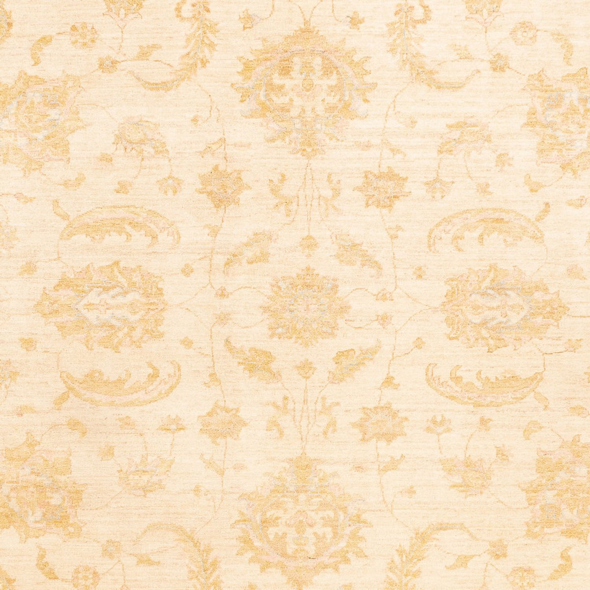 Ziegler Carpet - 342 x 255 cm - beige